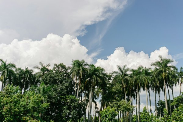 Voyage au Cuna : votre guide complet pour un séjour inoubliable